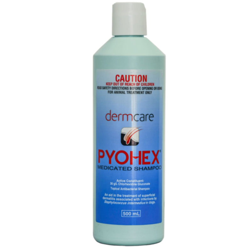 Dermcare Pyohex Medicated Shampoo