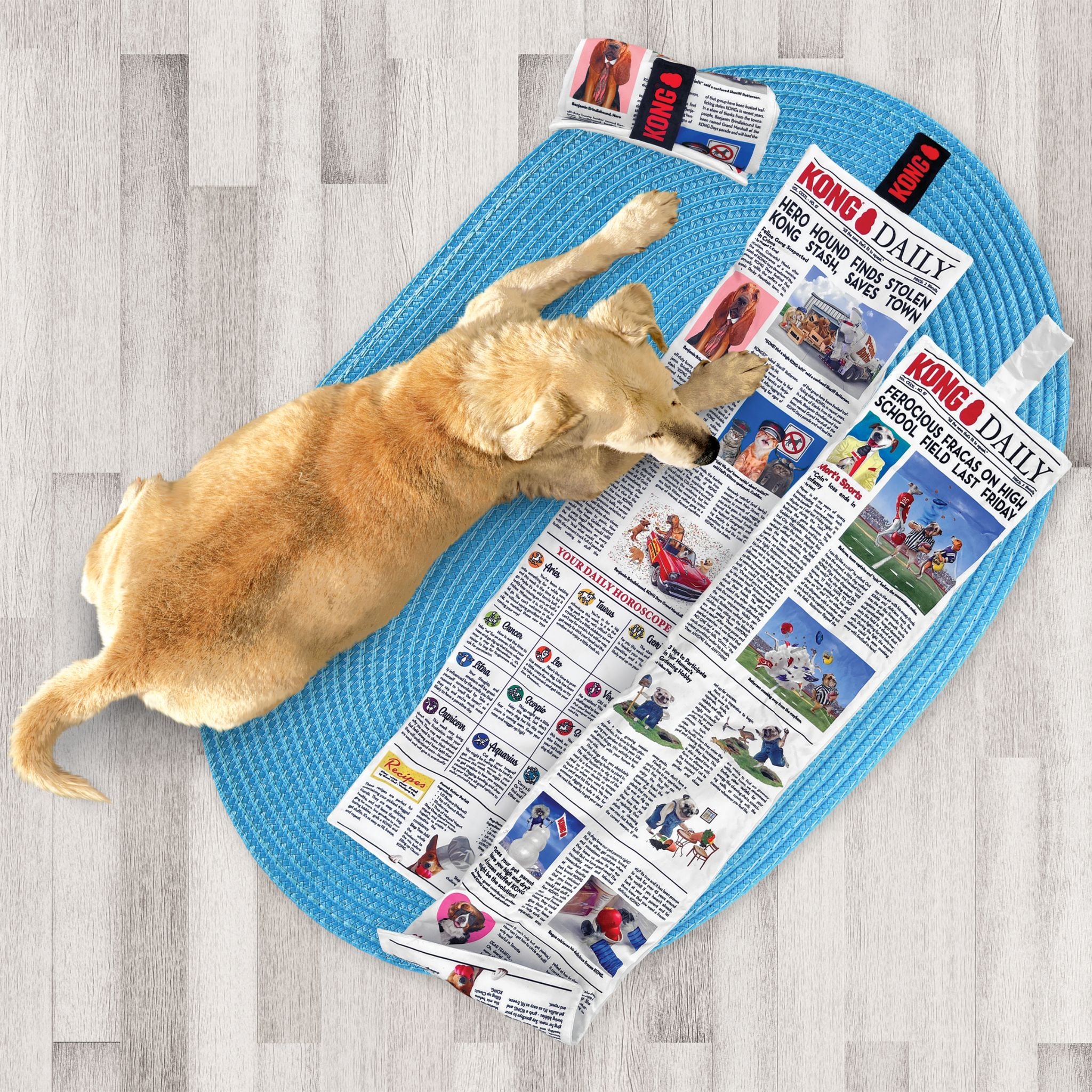KONG Daily Newspaper Dog Toys