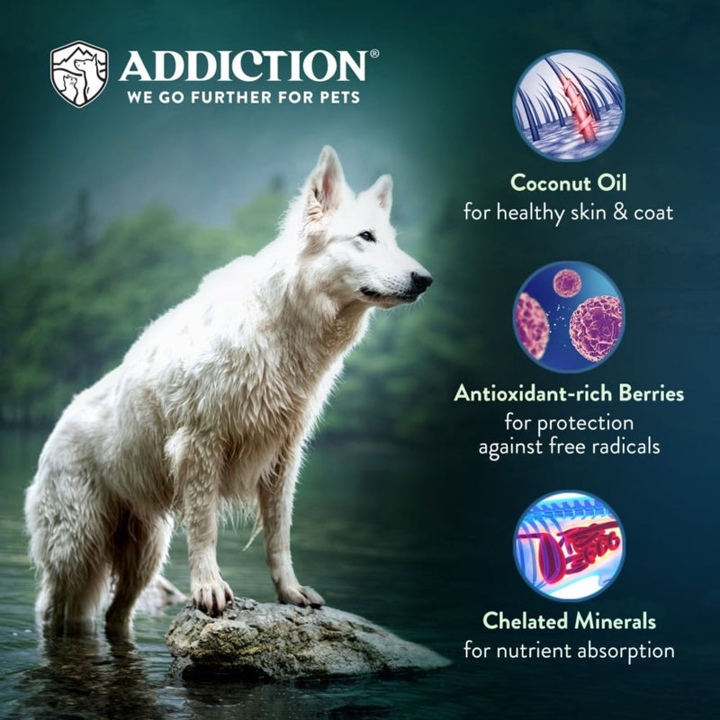 ADDICTION Wild Kangaroo and Apples Dry Dog Food