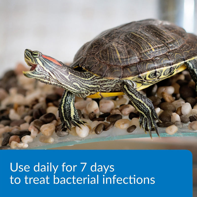 API Turtle Fix Antibacterial Treatment
