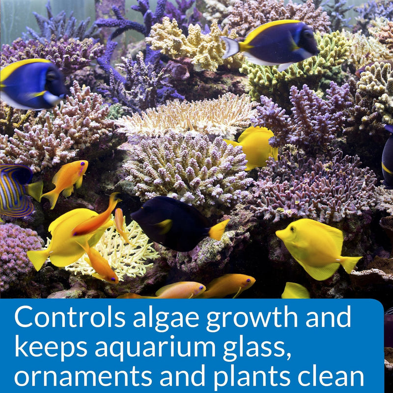 API Marine Algaefix