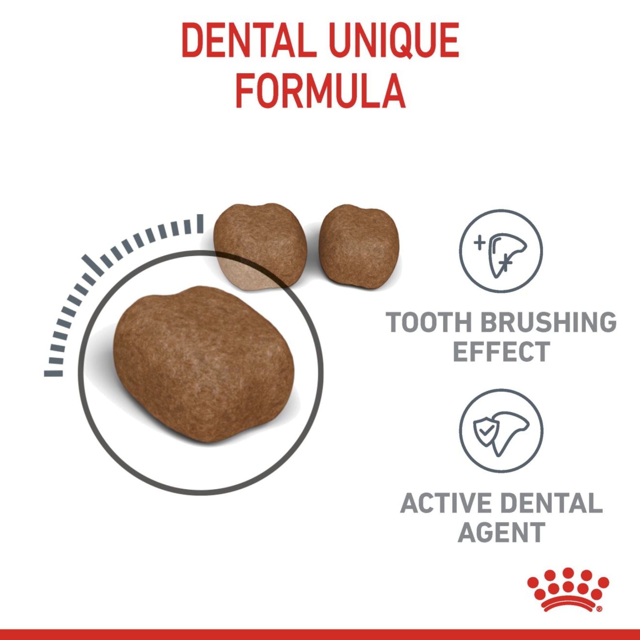 Royal Canin Dental Care Dry Cat Food
