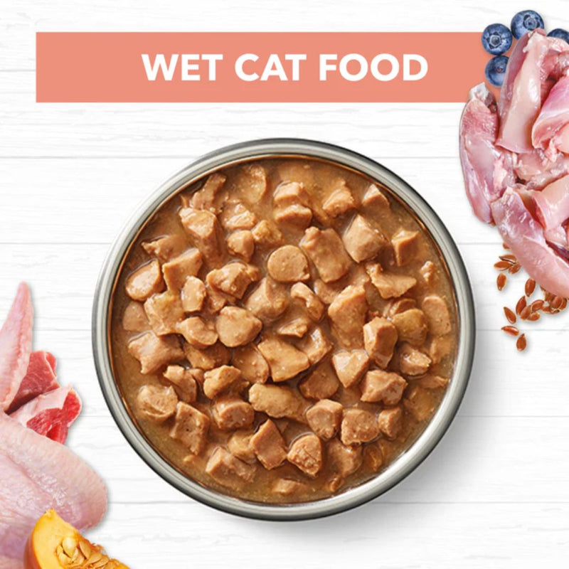 Ivory Coat Grain Free Kitten Wet Food Chicken and Beef in Gravy