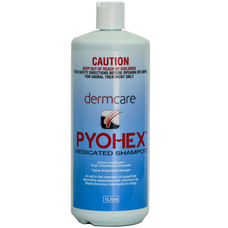 Dermcare Pyohex Medicated Shampoo