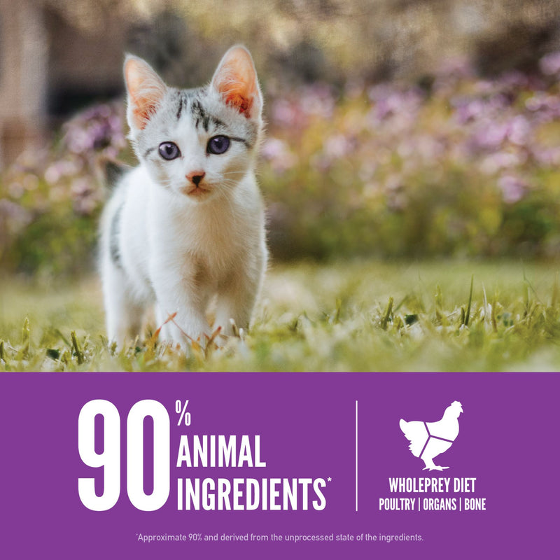 ORIJEN Biologically Appropriate Dry Cat Food Kitten