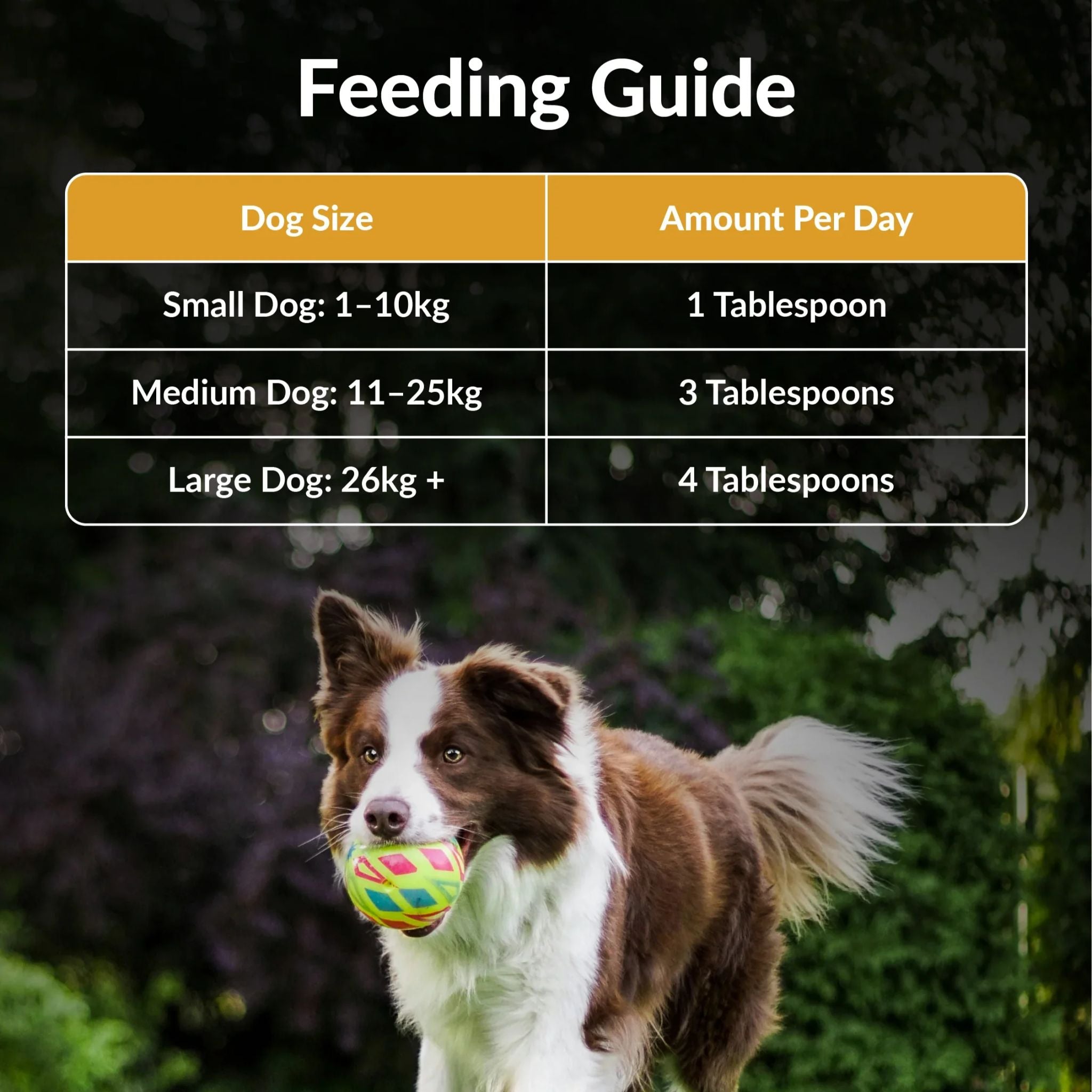 Carnivore Pet Kitchen Calm Dog Meal Topper