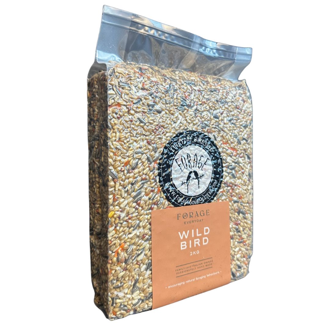 Forage Everyday Bird Seeds Wild Bird - 2kg | PeekAPaw Pet Supplies