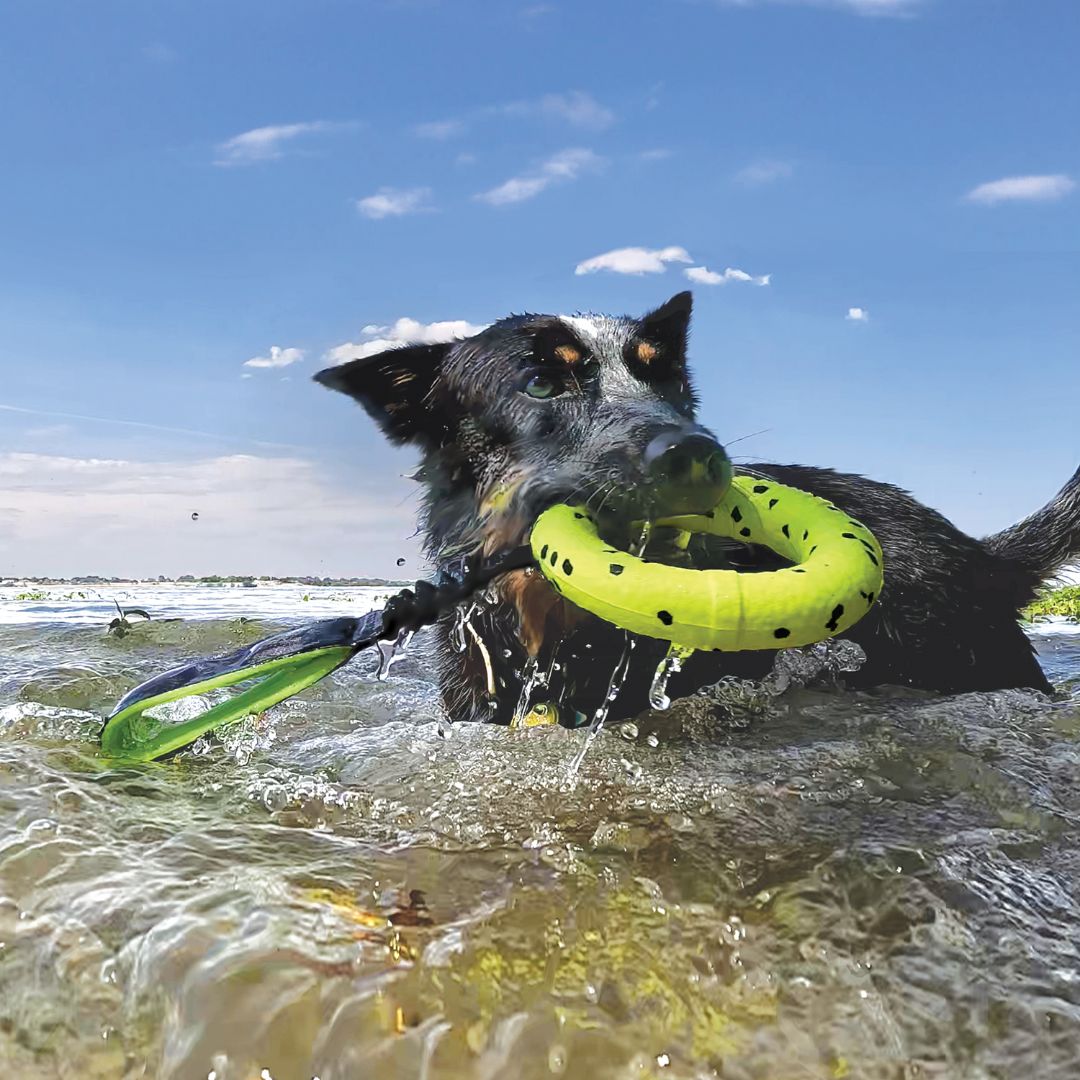 KONG Dog Toys Reflex Tug | PeekAPaw Pet Supplies