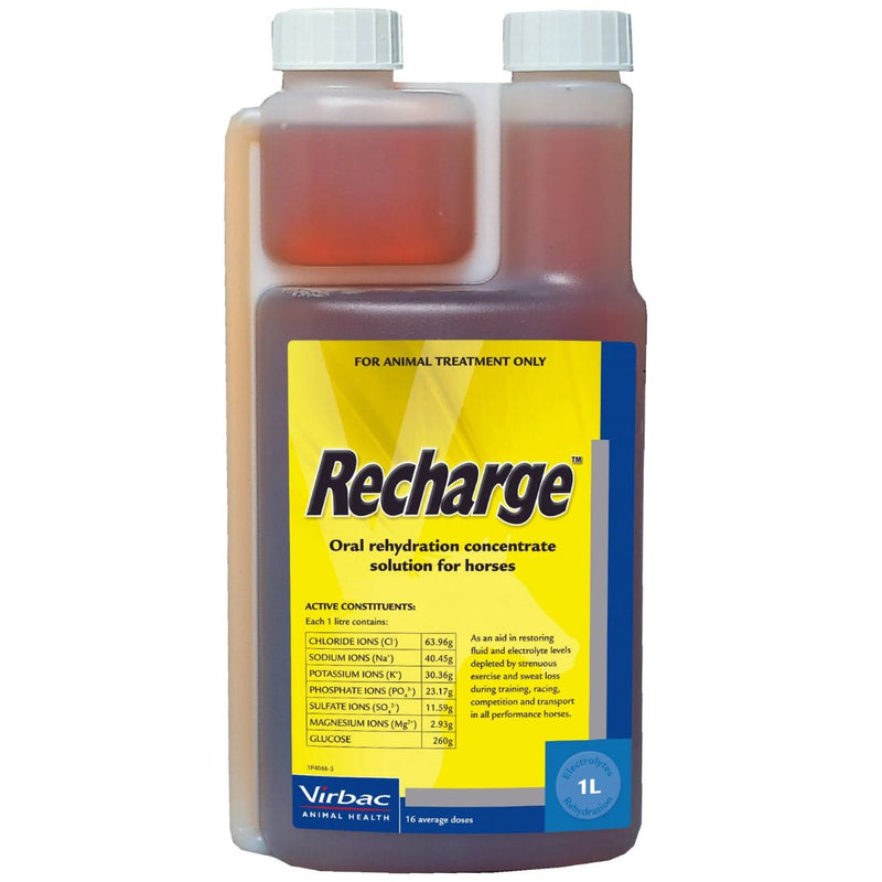 Virbac Recharge The Sports Drink for Horses - 1L | PeekAPaw Pet Supplies