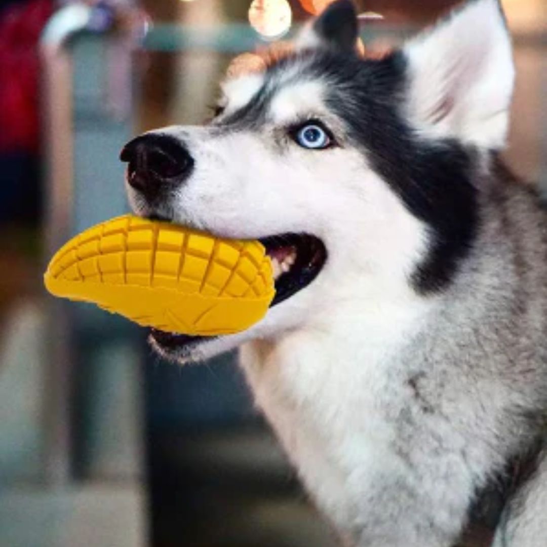 Petopia Ultra Tough Dog Toy Mango Magic