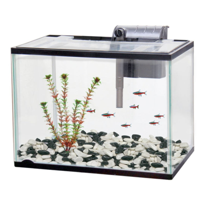 Classica Aquarium Starter Kit