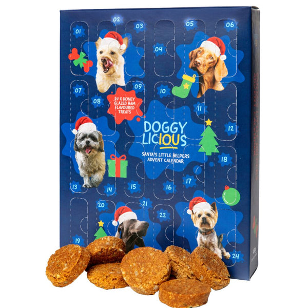 Doggylicious Advent Calendar | PeekAPaw Pet Supplies