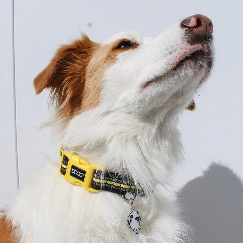 Doog Neoprene Dog Collar - (Neon High Vis) Bolt | PeekAPaw Pet Supplies