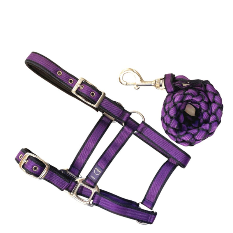 Anipal Autumn Lilac Recycled Comfort Halter & Lead Set - Xfull | PeekAPaw Pet Supplies