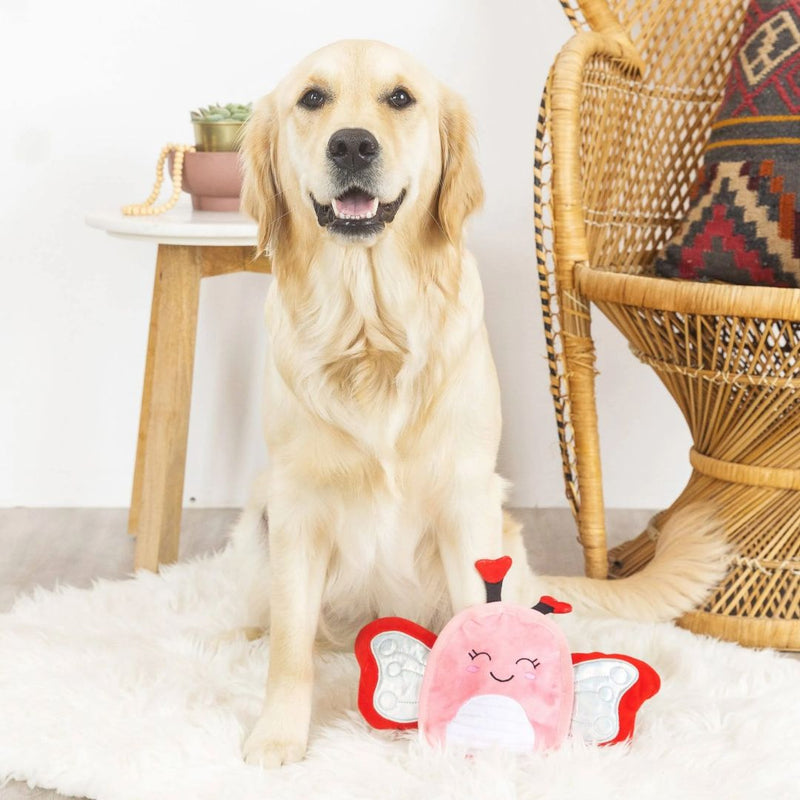 Fringe Studio No Stuffing Squeaker Valentine's Day Dog Toy - Fly My Way | PeekAPaw Pet Supplies