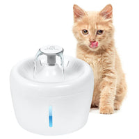 A ginger kitten beside a white All Fur You Whisper pet water fountain with a water level window