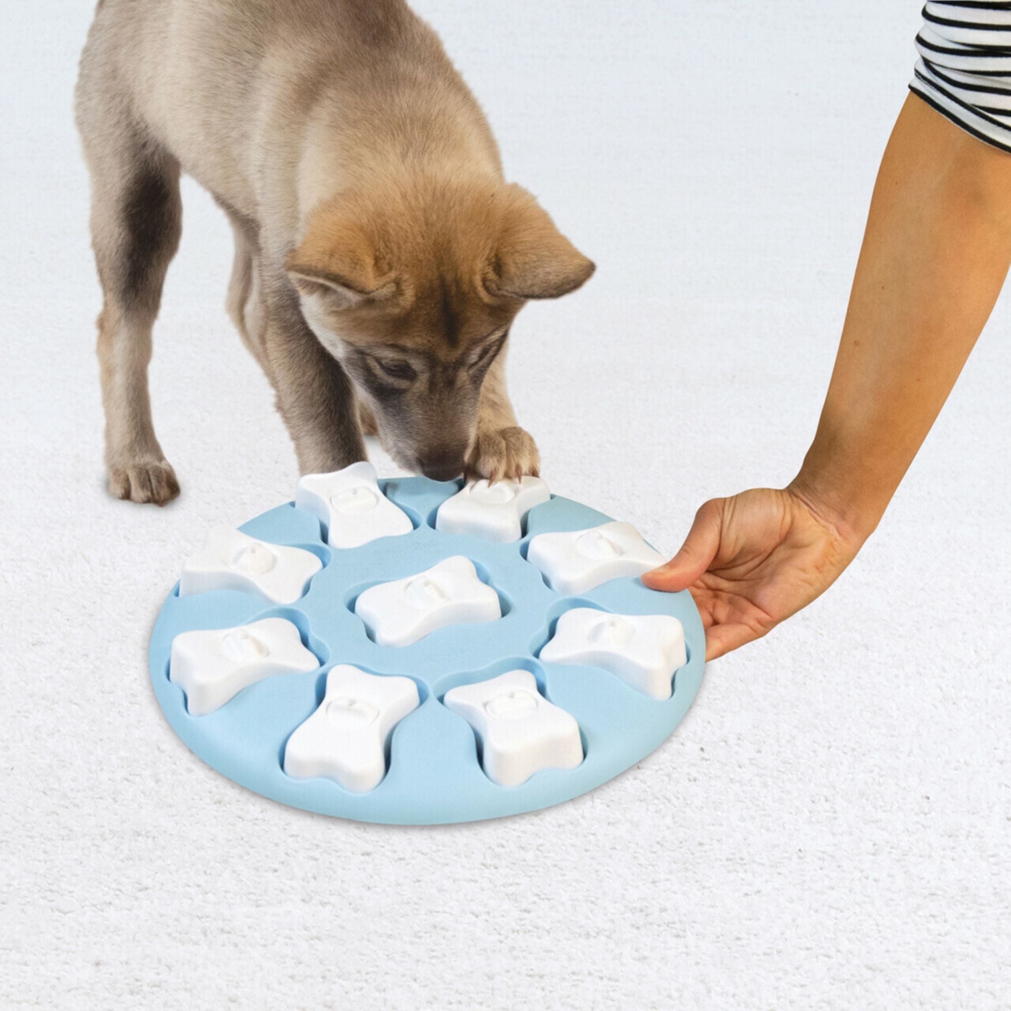 Nina Ottosson Puppy Smart - Level 1