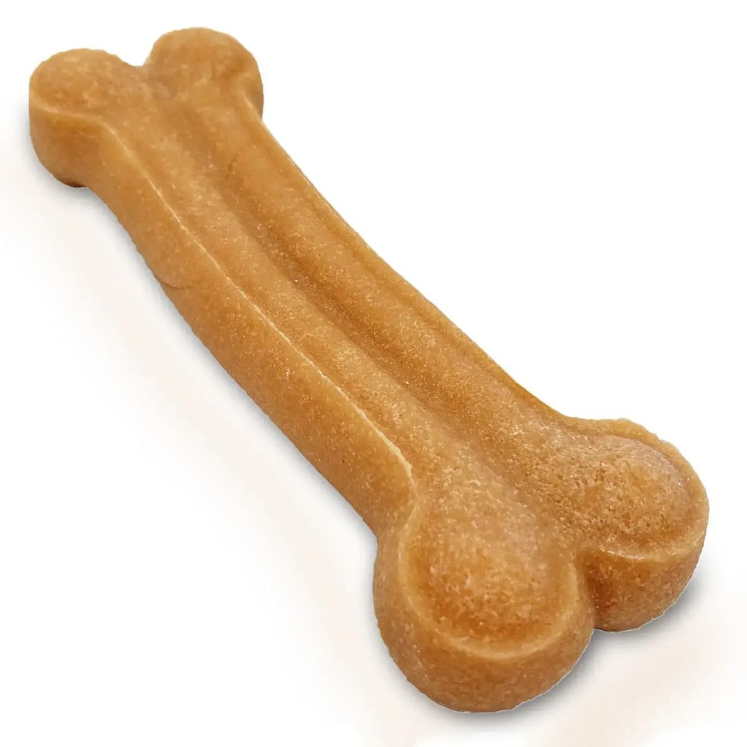 Himalayan Dog Chew Bone - Cheese | PeekAPaw Pet Supplies