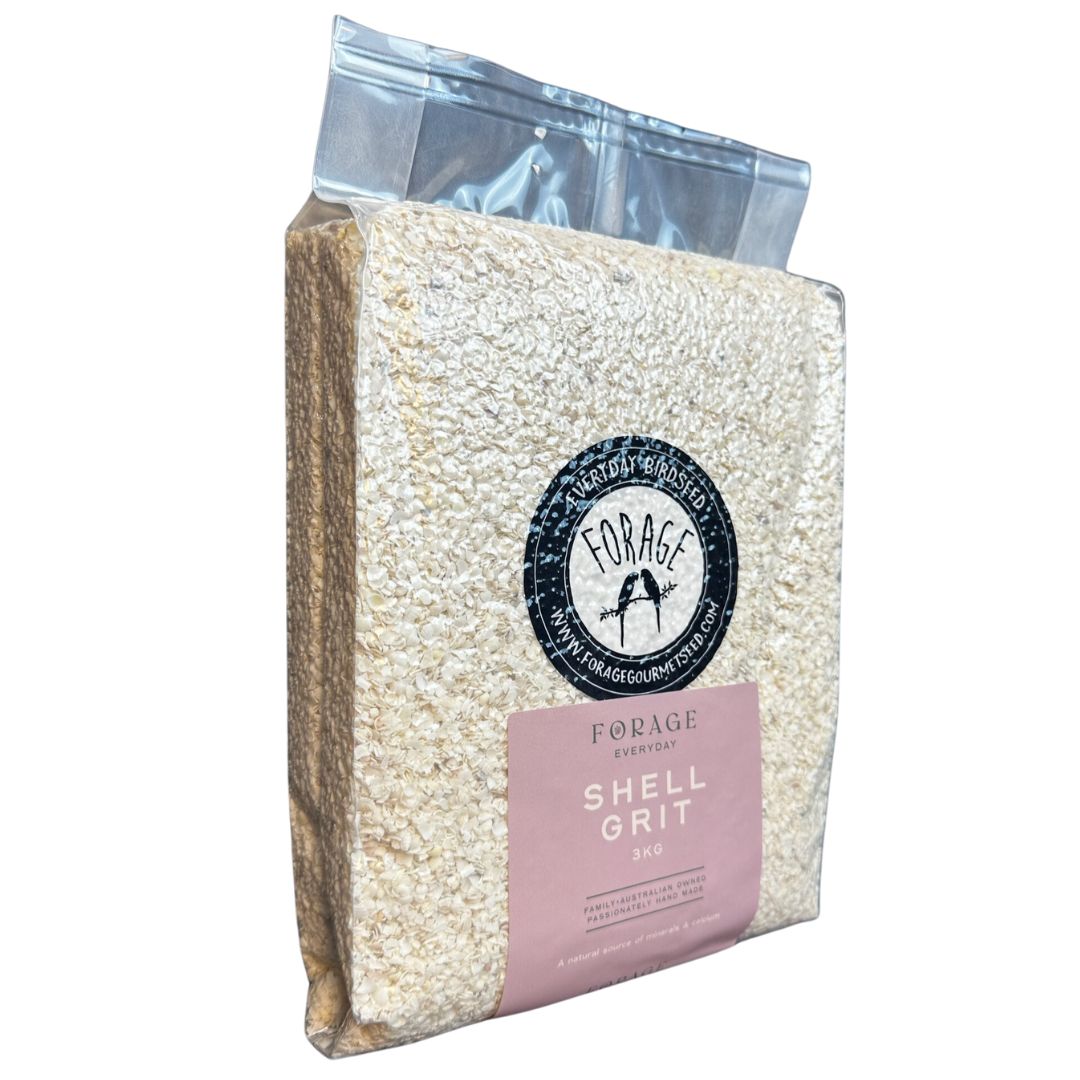 Forage Everyday Bird Seeds Medium Shell Grit - 3kg | PeekAPaw Pet Supplies