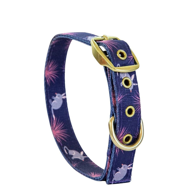 Anipal Billie the Bilby Dog Collar | PeekAPaw Pet Supplies