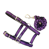 Anipal Autumn Lilac Comfort Halter and Lead Set for horses in Pony, purple webbing with a plaited lead
