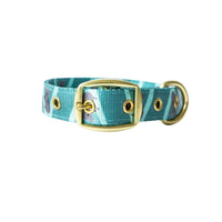 Anipal Kylo the Koala dog collar in Small, teal webbing with a koala print and brass buckle
