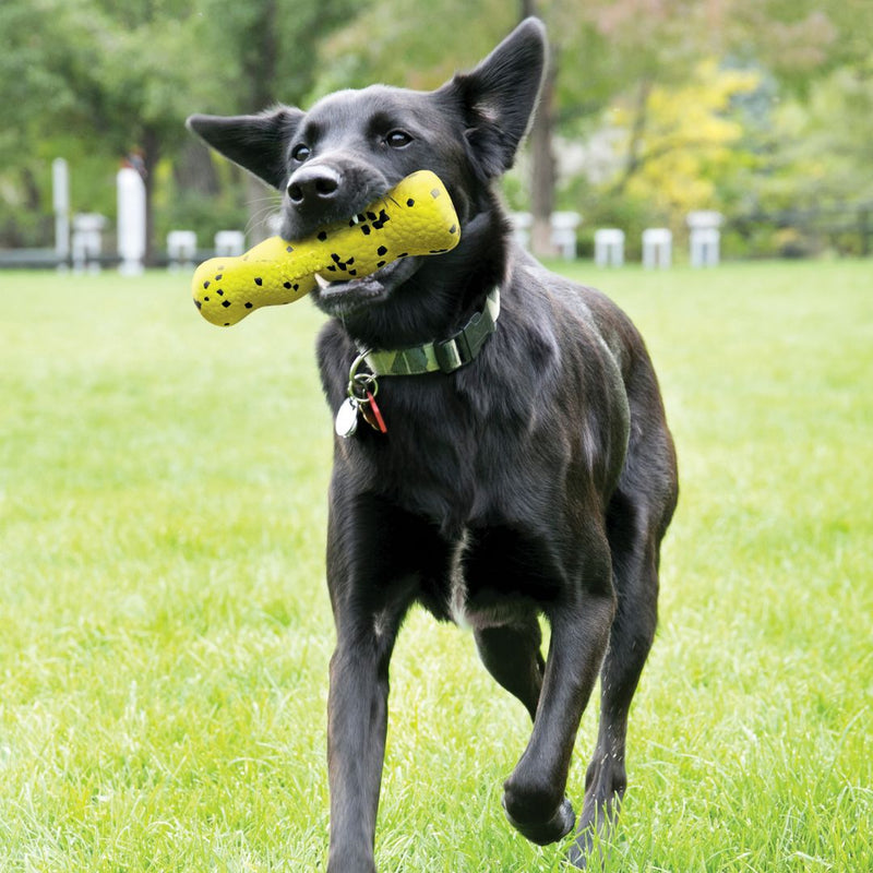 KONG Dog Toys Reflex Stick | PeekAPaw Pet Supplies