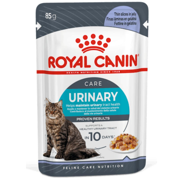Royal Canin Urinary Care Wet Cat Food in Jelly - 85g x 12 | PeekAPaw Pet Supplies