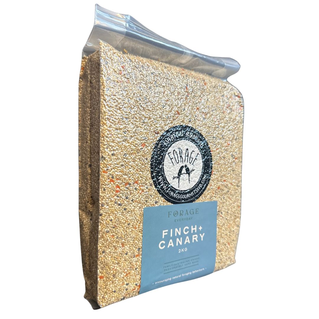 Forage Everyday Bird Seeds Canary & Finch