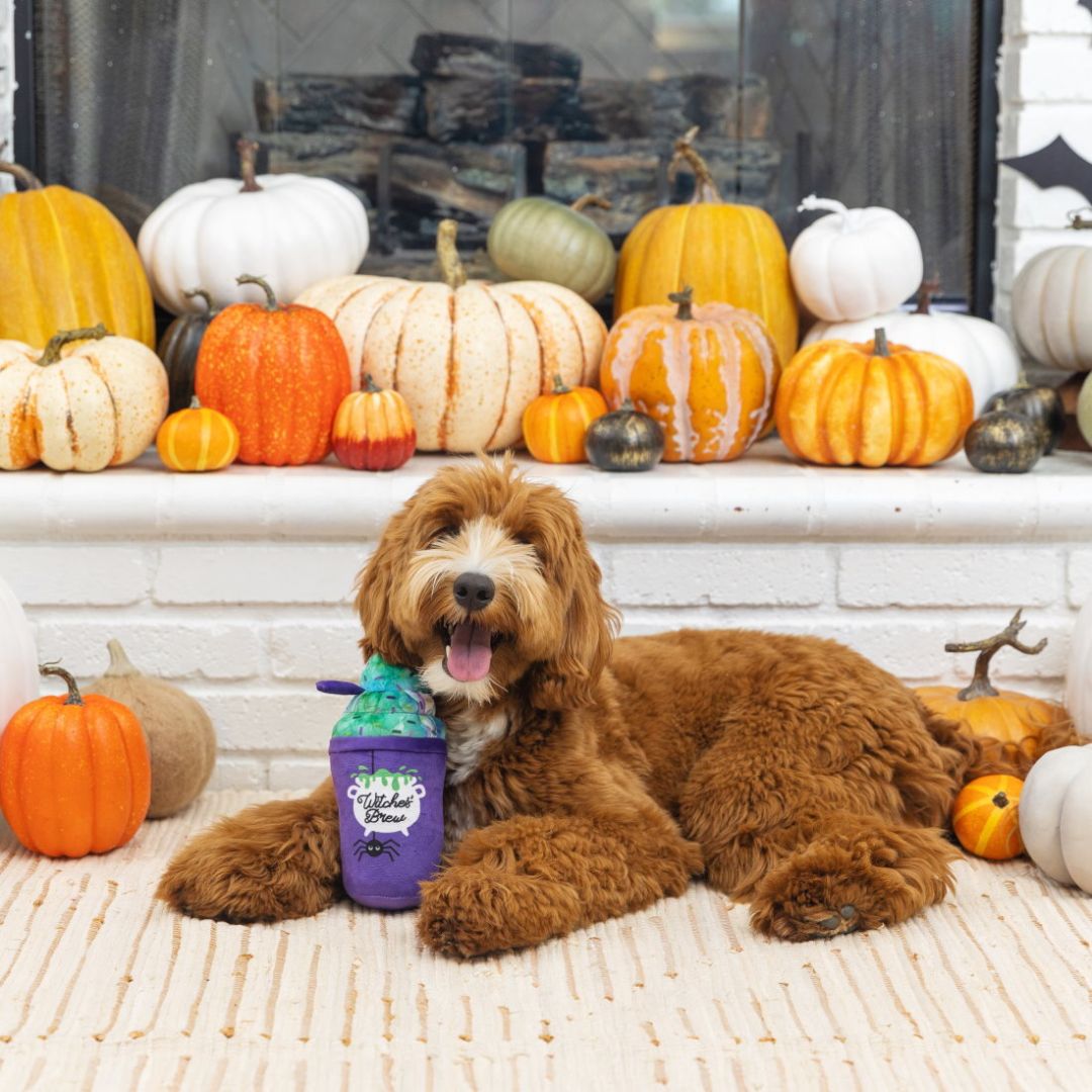 Fringe Studio Halloween Plush Squeaker Dog Toy - Witches Brew | PeekAPaw Pet Supplies