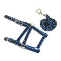 Anipal Pacific Ocean Comfort Halter and Lead Set for horses in Pony, navy webbing with a plaited lead