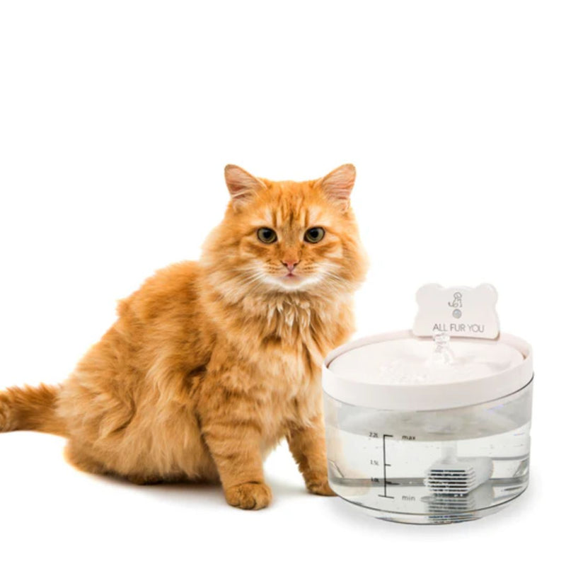 All Fur You Auto Sensor Water Fountain - | PeekAPaw Pet Supplies