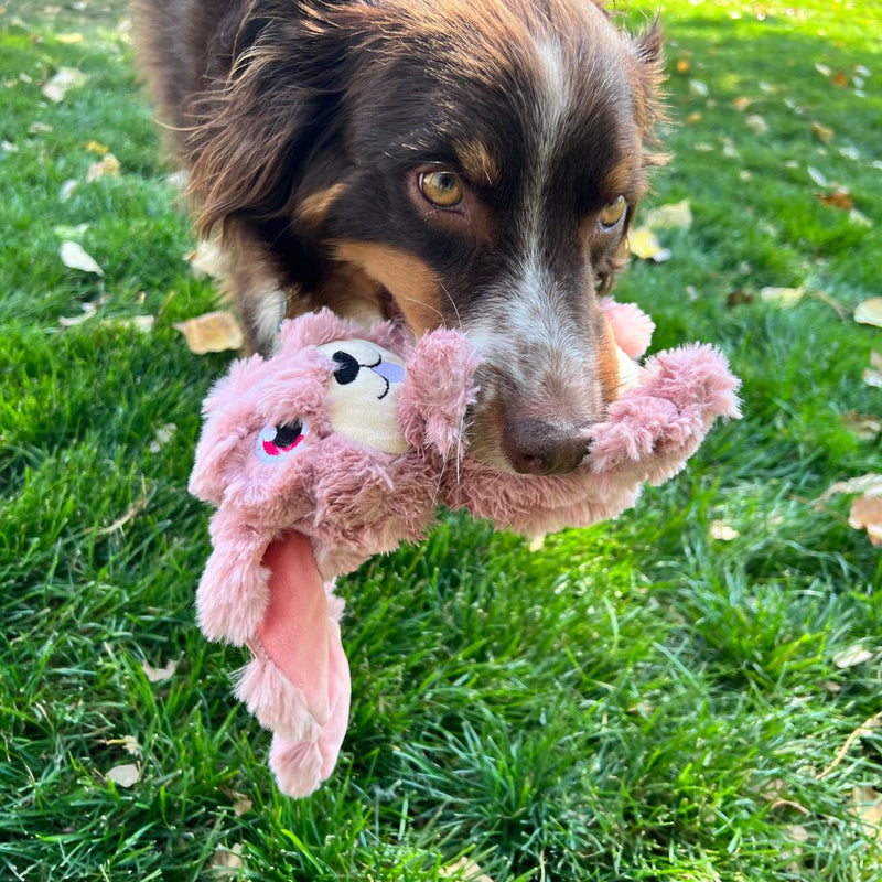 KONG Dog Toys Scrumplez Bunny - Medium | PeekAPaw Pet Supplies