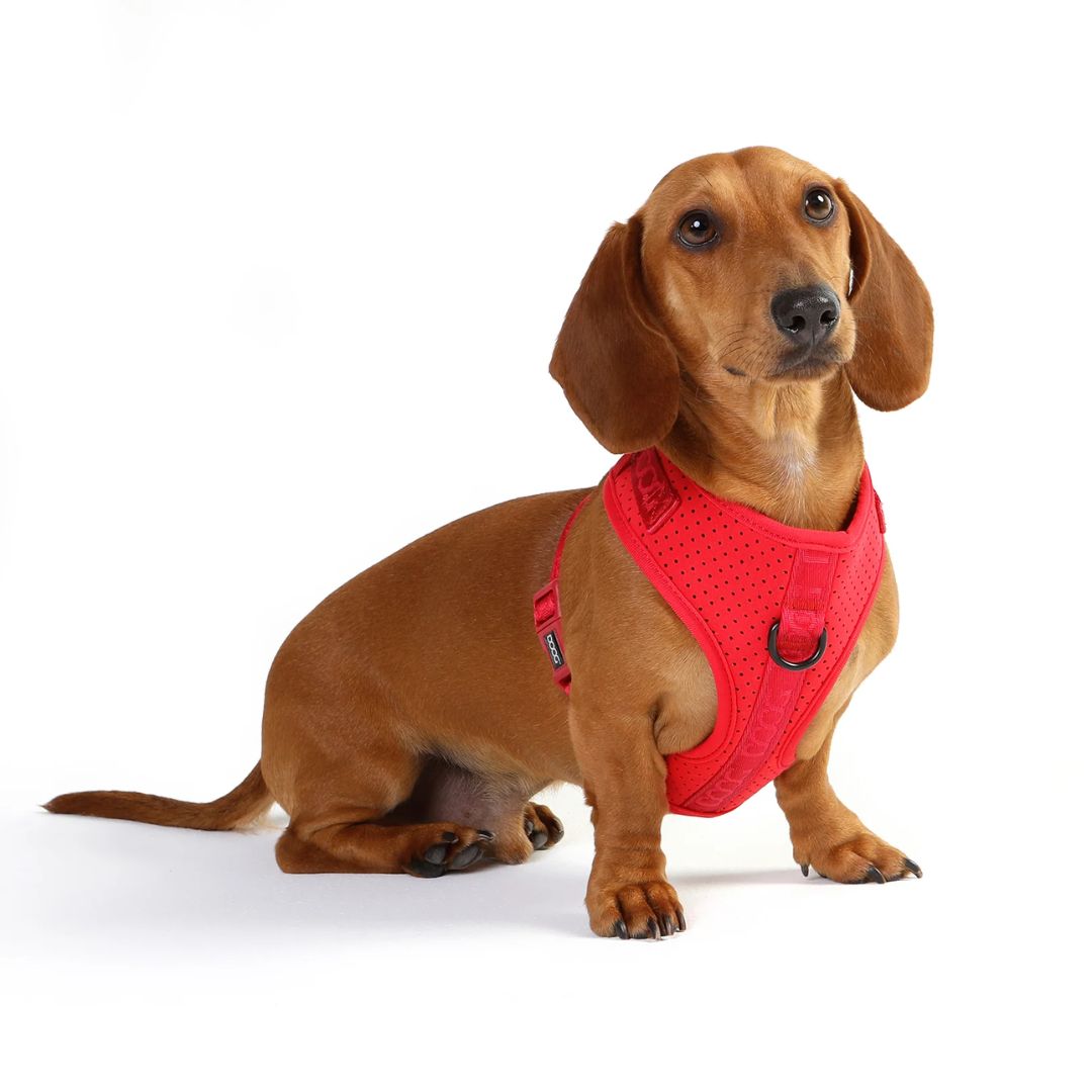 Doog Neosport Dog Soft Harness - Red | PeekAPaw Pet Supplies