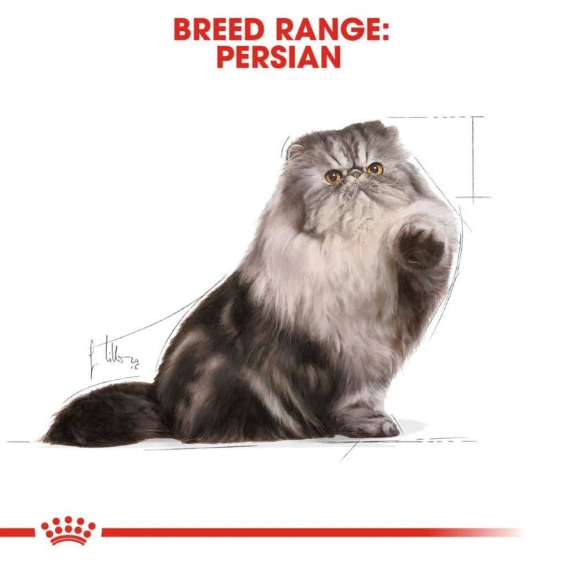 Royal Canin Persian Loaf