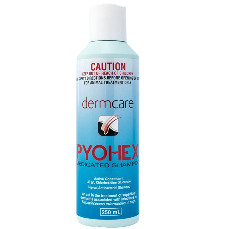 Dermcare Pyohex Medicated Shampoo and Conditioner Starter Pack