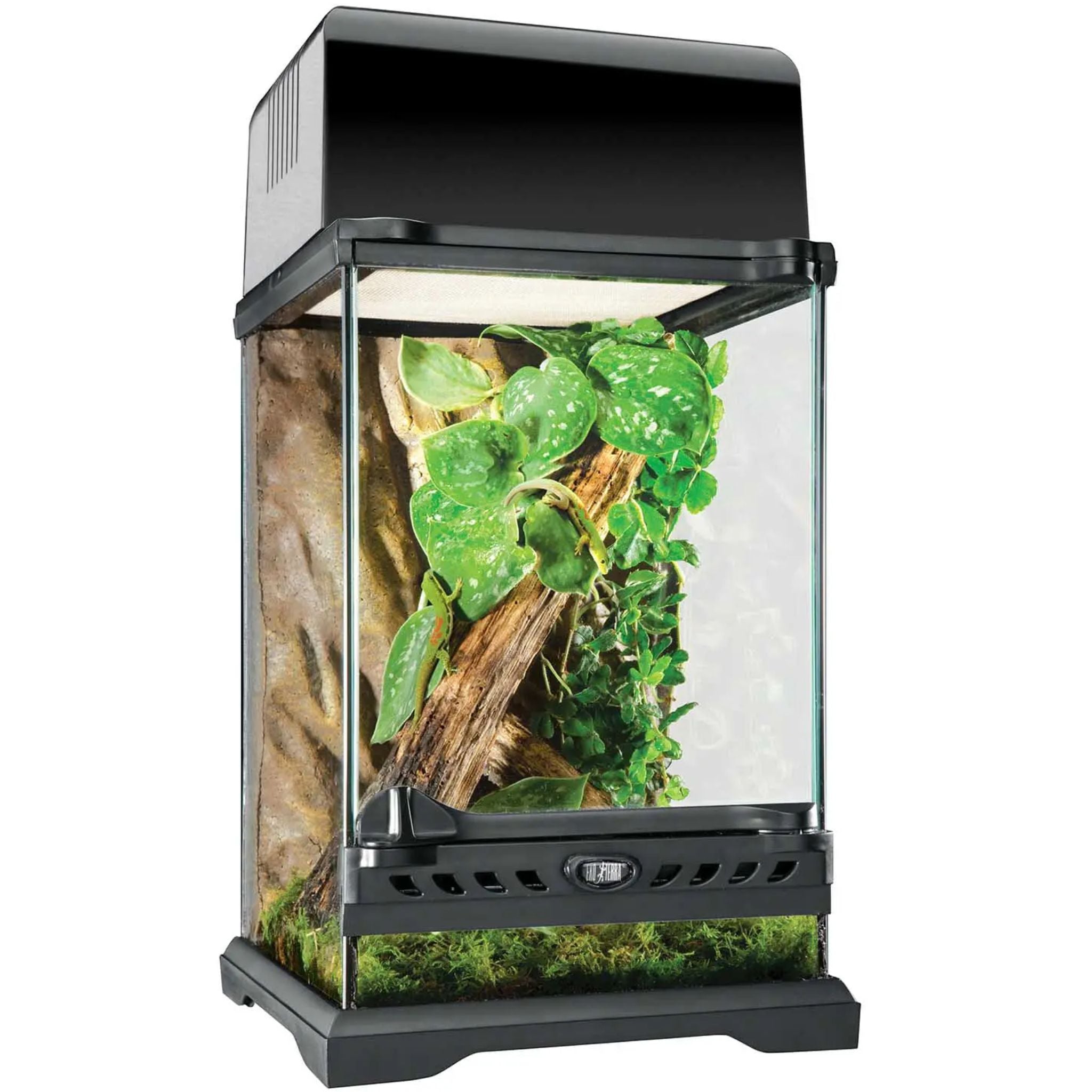 Exo Terra Natural Terrariums