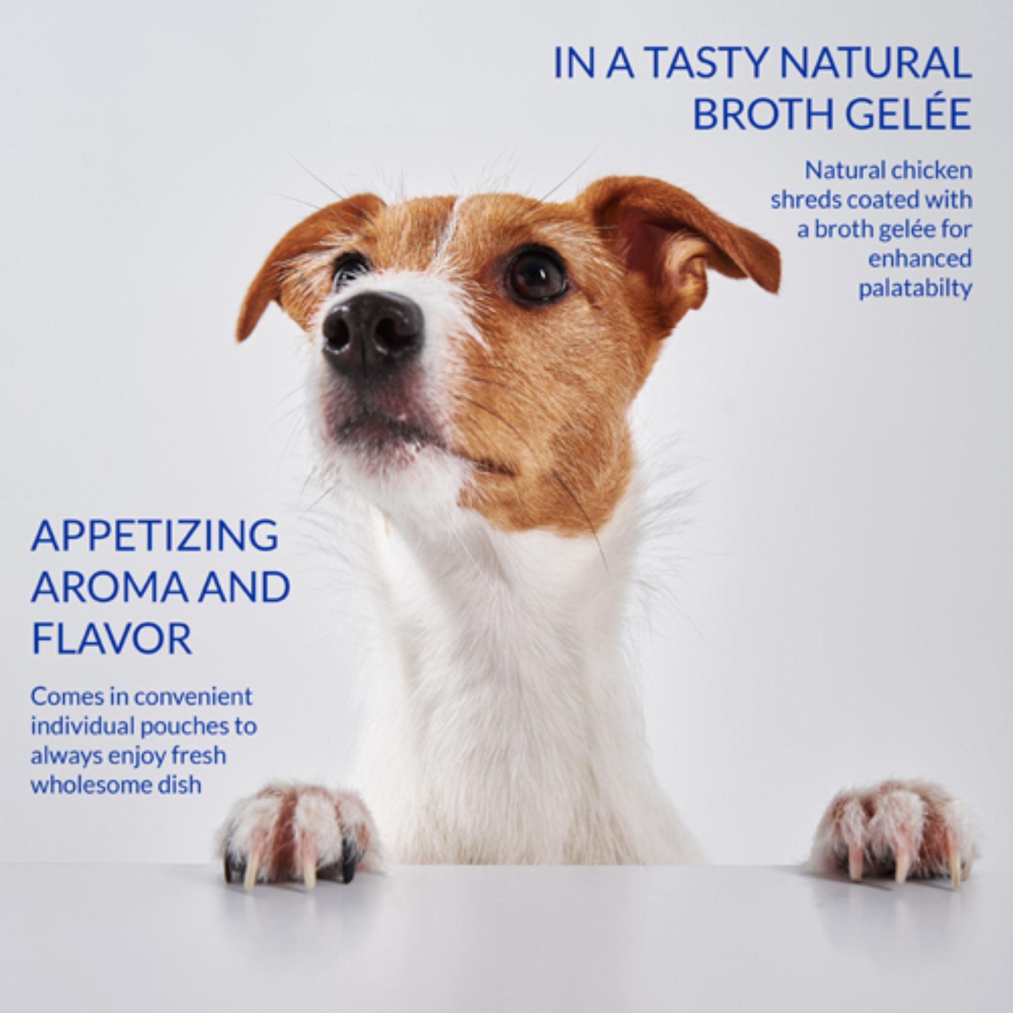 Inaba Dog Treat Twin Packs Chicken with Vegetables & Beef Recipe in Chicken Broth