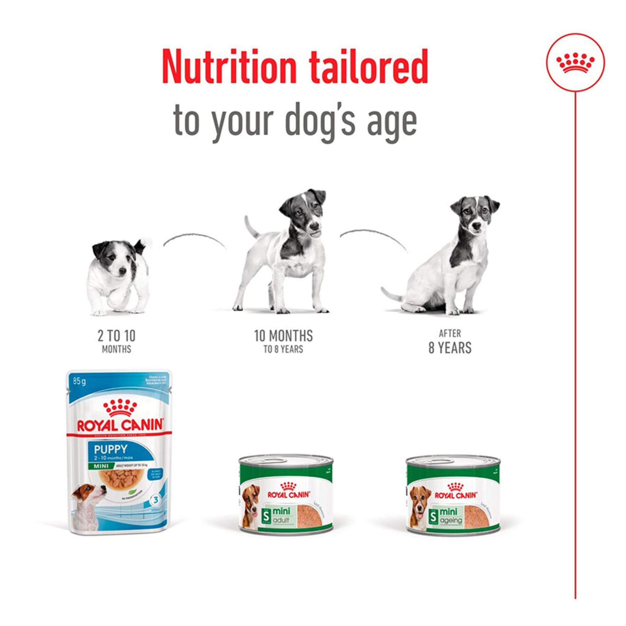 Royal Canin Mini Adult Loaf Canned Wet Dog Food