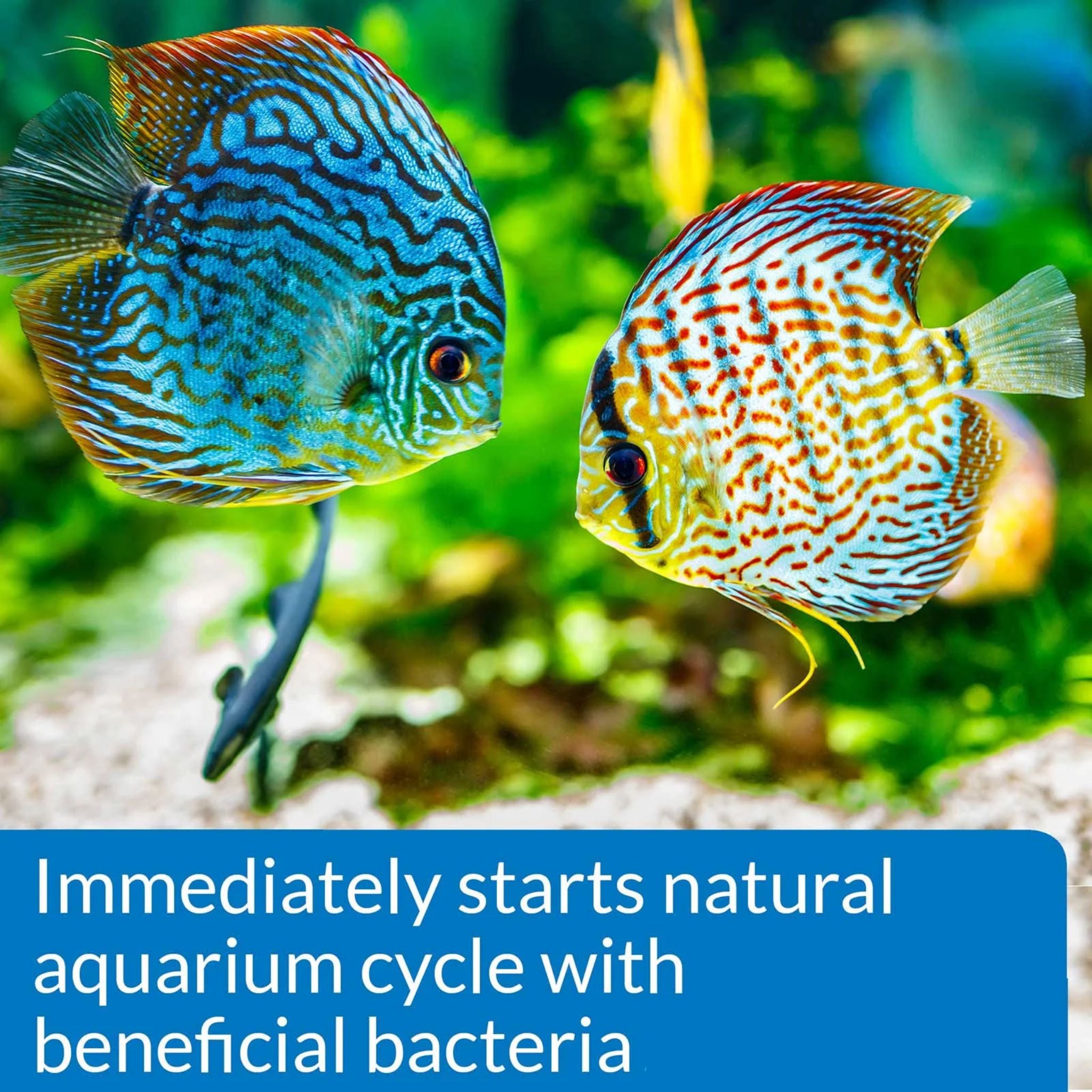 API Marine Quick Start Aquarium Water Conditioner