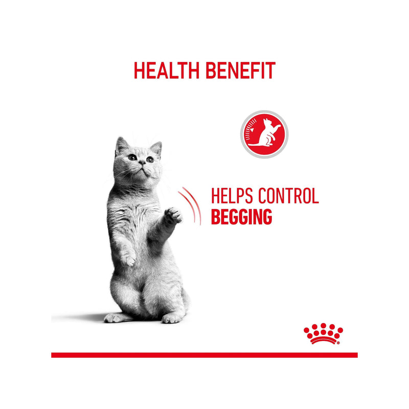 Royal Canin Appetite Control Care Wet Cat Food in Gravy