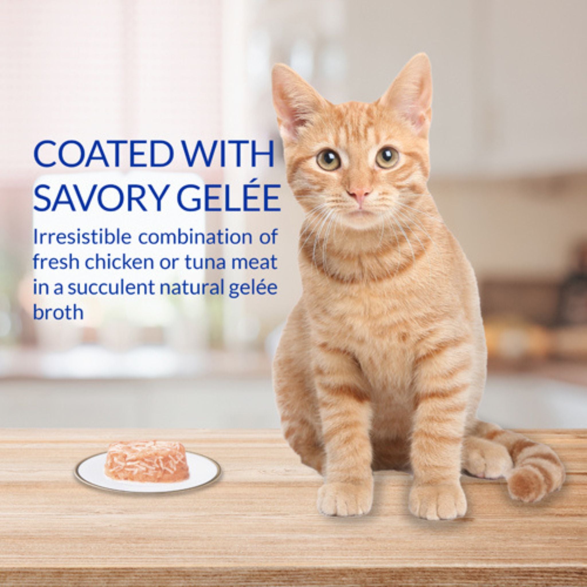 Inaba Cat Treat Twin Cups Chicken with Cheese Recipe