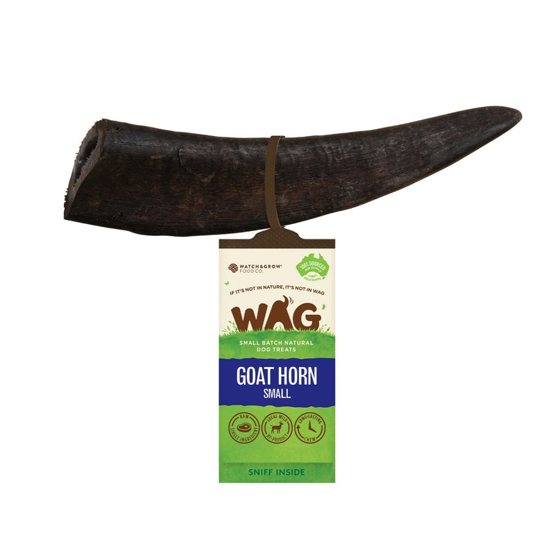 WAG Goat Horn