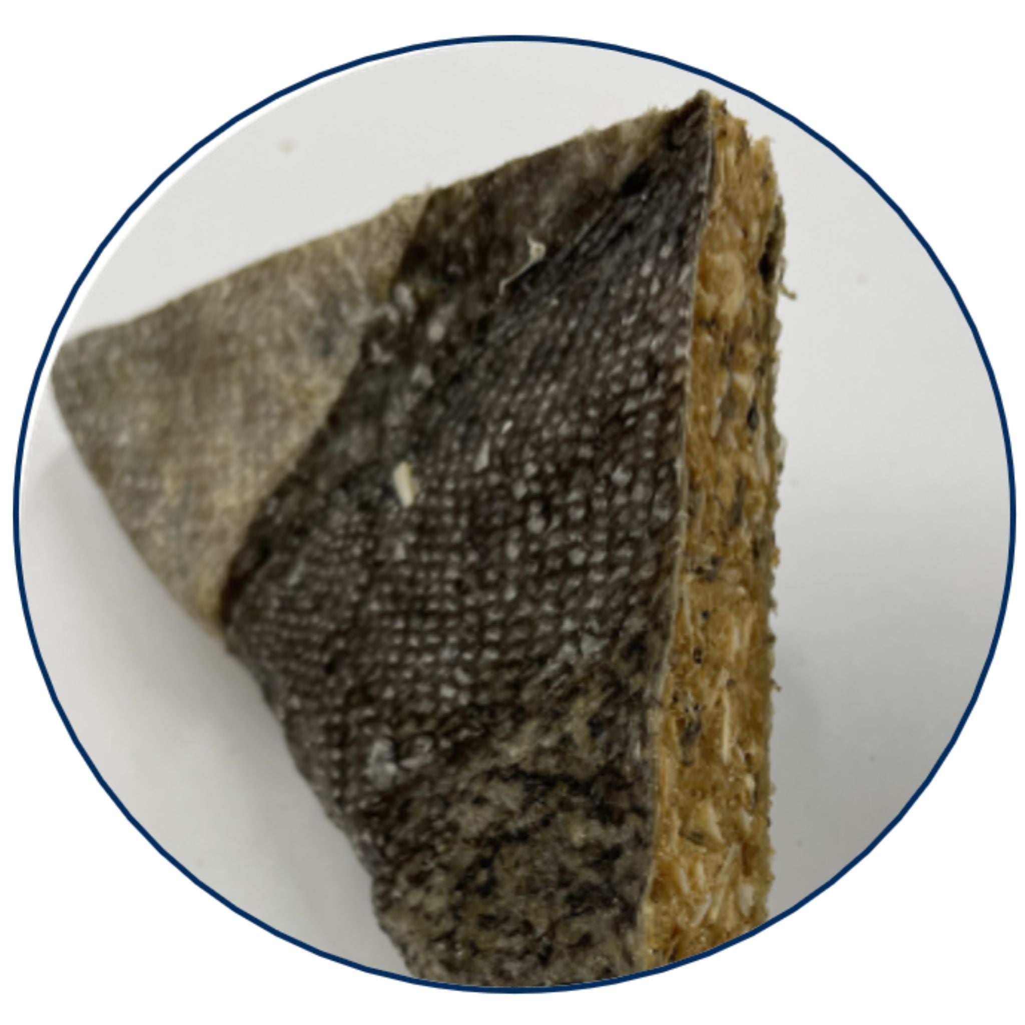 The Supreme Treat Co Cod Sandwich Dog Treats