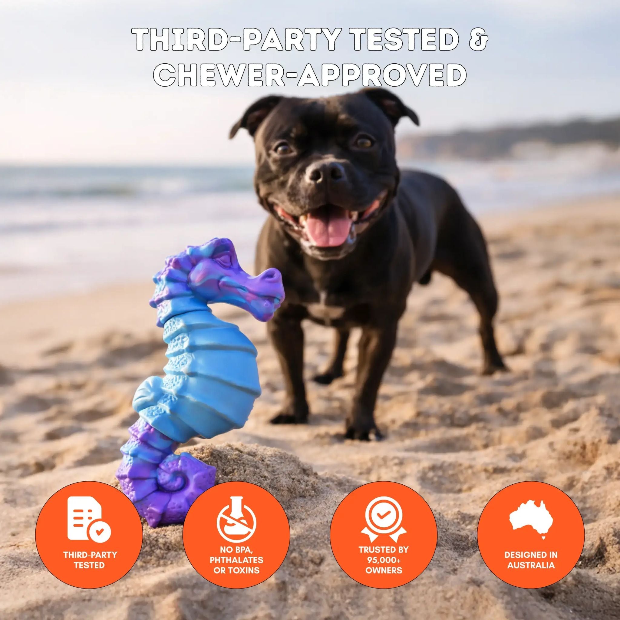 Happy Staffy Co Seahorse Splash Dog Toy