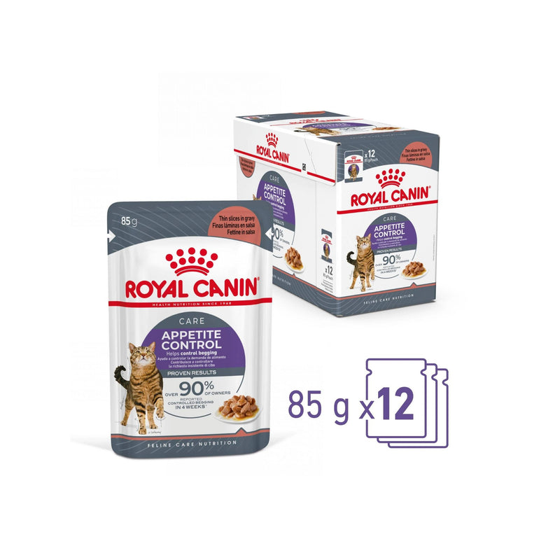 Royal Canin Appetite Control Care Wet Cat Food in Jelly