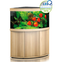 Juwel Trigon 350L corner aquarium planted with discus, on a light wood base cabinet