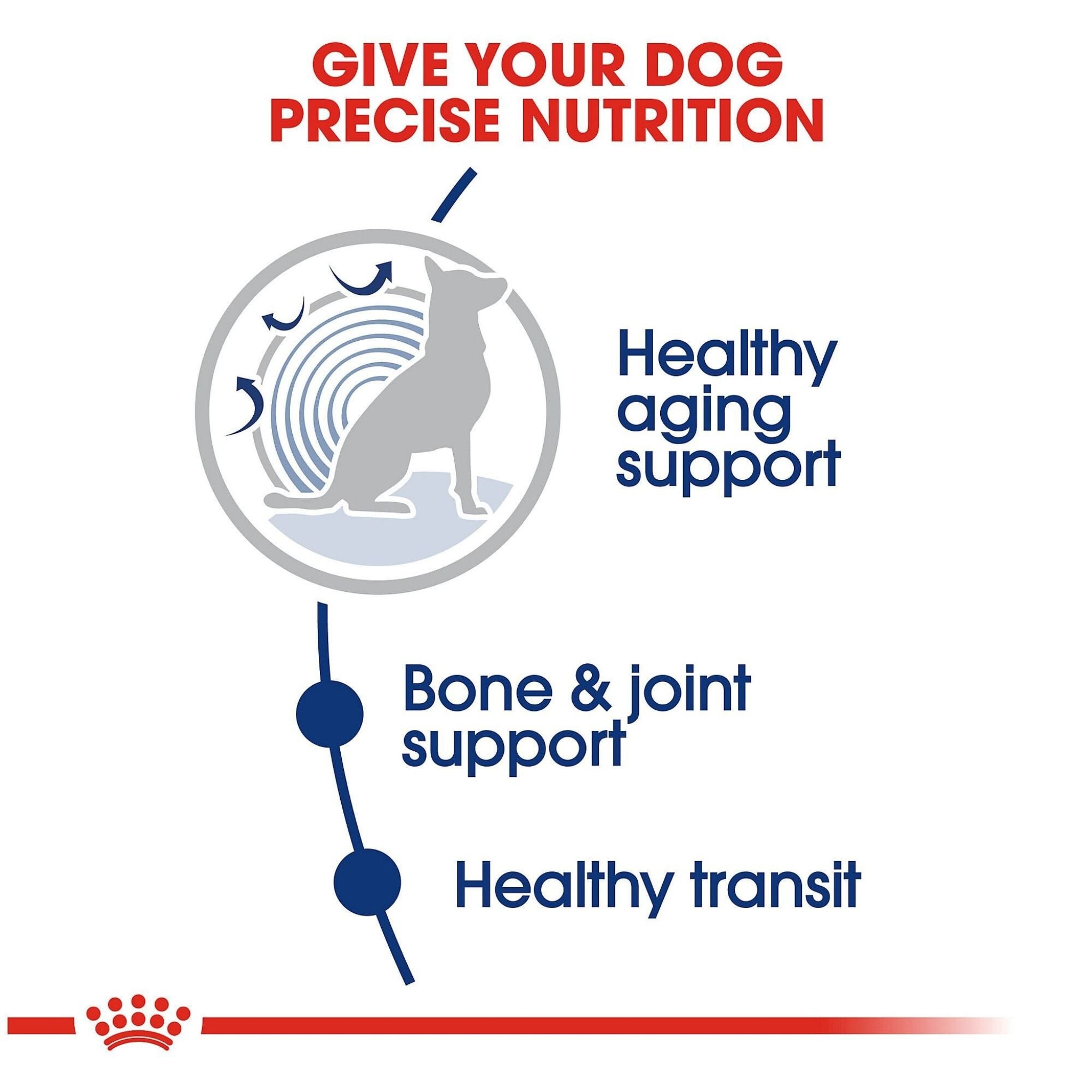 Royal Canin Maxi Ageing 8+
