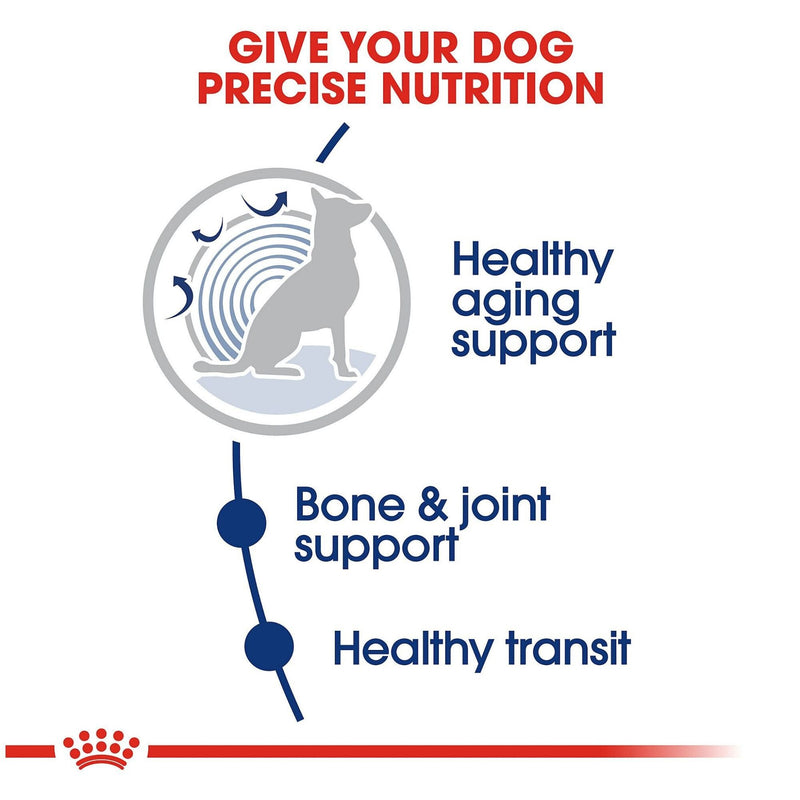 Royal Canin Maxi Ageing 8+