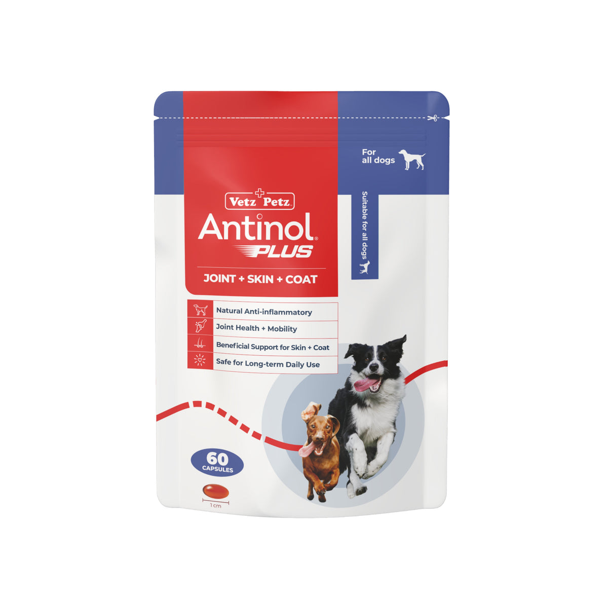 Antinol Plus 60 capsule pouch for dogs, front of pack with two dogs running